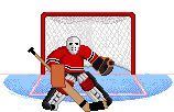 DCSIHL Logo